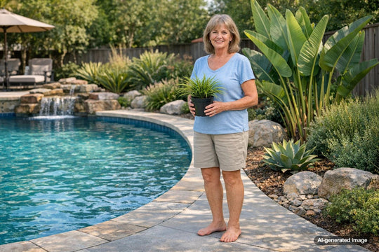 Best Plants Around Pool That Don't Drop Leaves: Create a Cleaner, Low-Maintenance Backyard Oasis