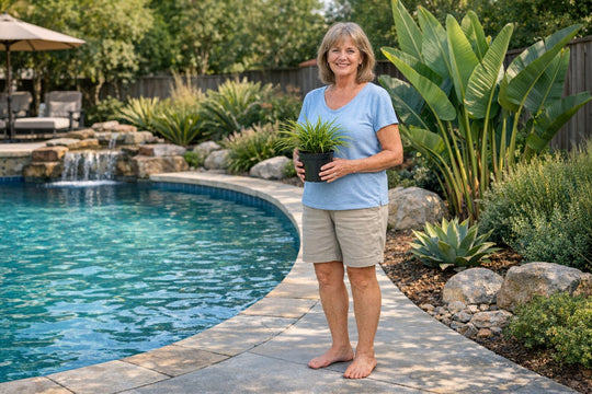 Best Plants Around Pool That Don't Drop Leaves: Create a Cleaner, Low-Maintenance Backyard Oasis