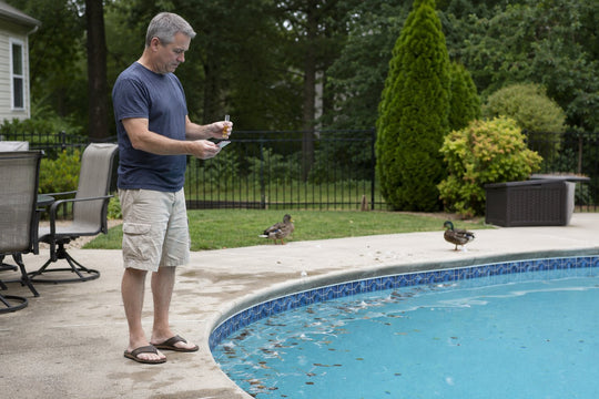How Wild Animals Affect Pool Water Chemistry: What Pool Owners Need to Know Before the Water Turns Cloudy